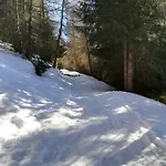 Adamello * Aprica