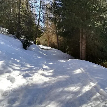 Adamello * أبريكا