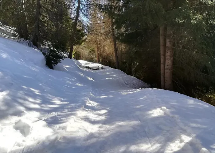 Adamello * أبريكا